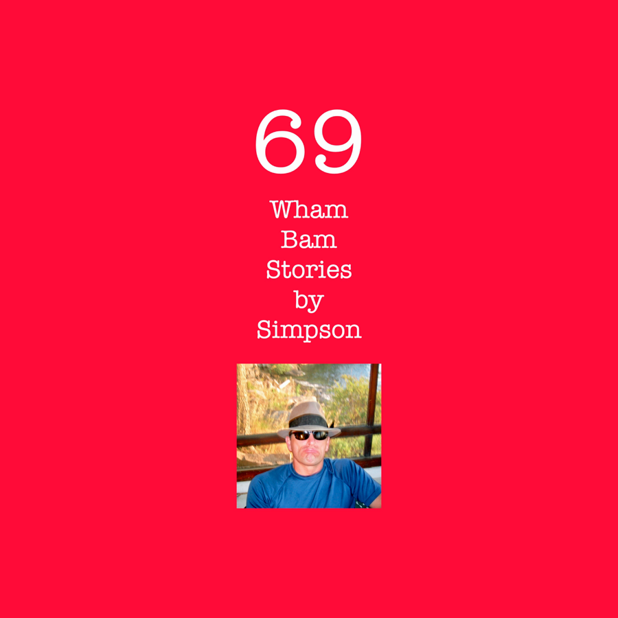 69 Apple eBook
