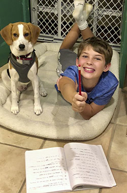 Middle Class American White Boy - 3rd Edition